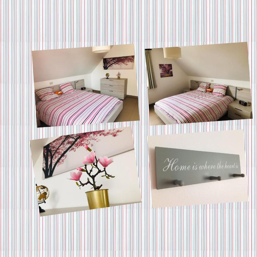 Ter Zwaanhoek Villa Oostende Ngoại thất bức ảnh